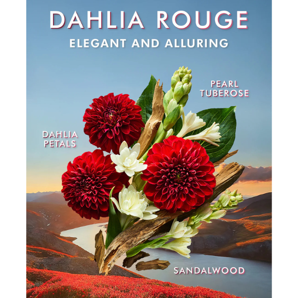 dahlia rouge moroccanoil