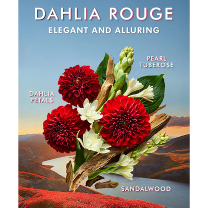 dahlia rouge moroccanoil