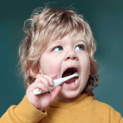 מברשת שיניים אקולוגית לתינוקות בעיצוב קואלה | Jack And Jill