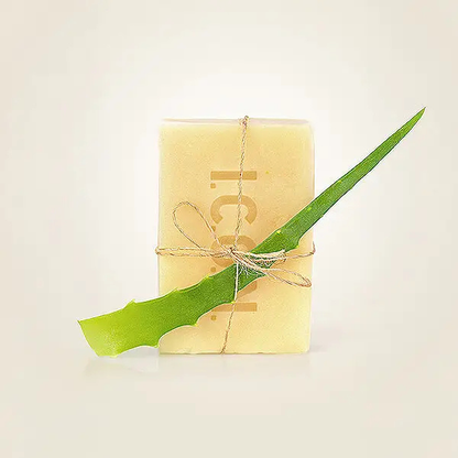 שמפו מוצק לניקוי עמוק לשיער שומני מסדרת דיטוקס | 100 גרם | Icon