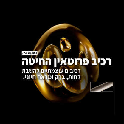 שמפו לחידוש והזנה לשיער יבש עד יבש מאוד מסדרת 'אבסולוט ריפר' 500 מ"ל - לוריאל