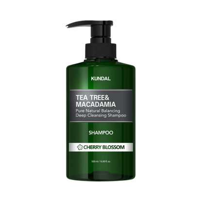 שמפו ללא מלחים 'עץ התה ומקדמיה' לניקוי עמוק וטיהור לקרקפת שומנית 500 מ"ל | KUNDAL