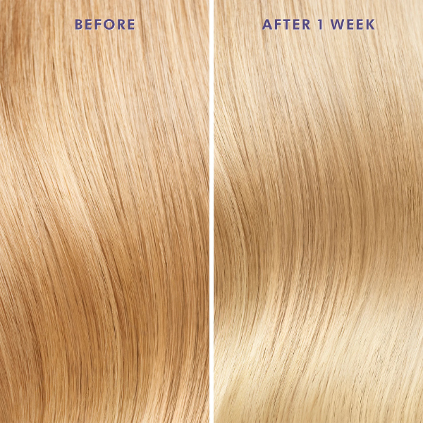 Moroccanoil Purple treatment Oil